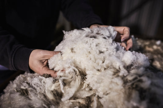 Merino Wool 101: What It Is and Why You'll Love It